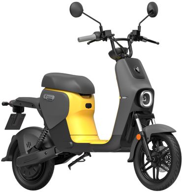 Електричний скутер Segway Ninebot B110S | Yellow/Dark-Grey